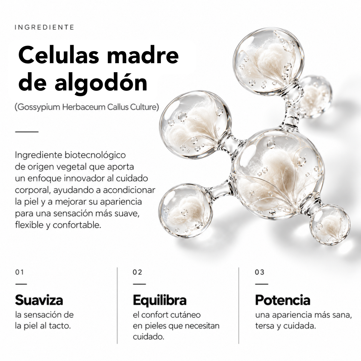 DOSIST CREAM - FORMULA HIDRATANTE Y HUMECTANTE